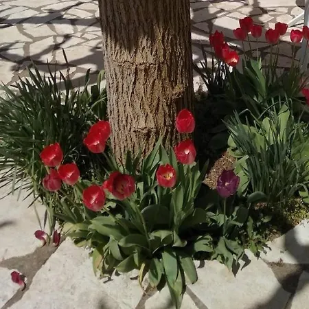 Nature Kalavryta