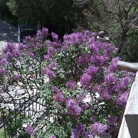 Nature Kalavryta *
